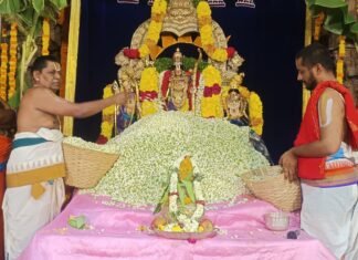 వైభవంగా శ్రీ కోదండరామస్వామివారి ఆలయంలో సీతా జయంతి.